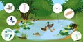 Ecosystem of pond with different animals birds, insects, reptiles, fishes, amphibians, protozoa in their natural habitat. Royalty Free Stock Photo